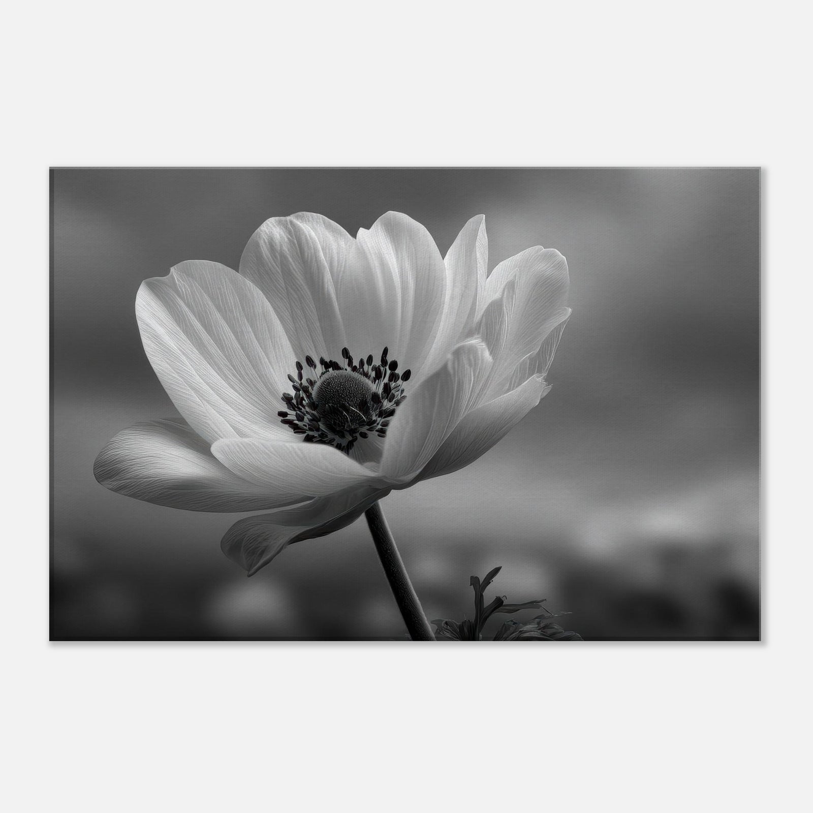 0fc8ca21-2e39-4d7c-a0ea-8c7a6aa61824