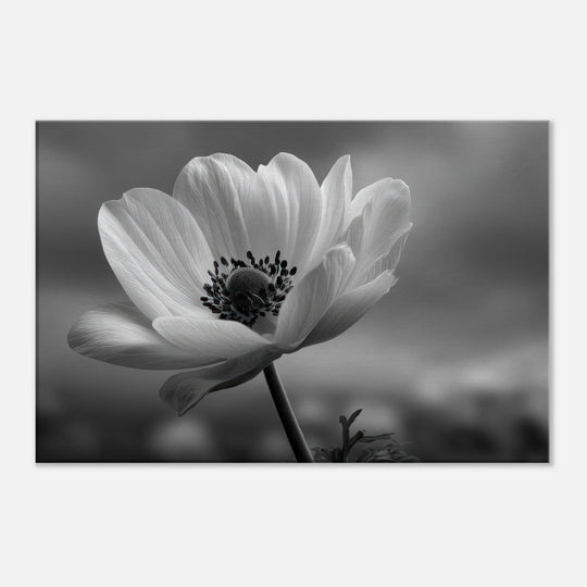 0fc8ca21-2e39-4d7c-a0ea-8c7a6aa61824