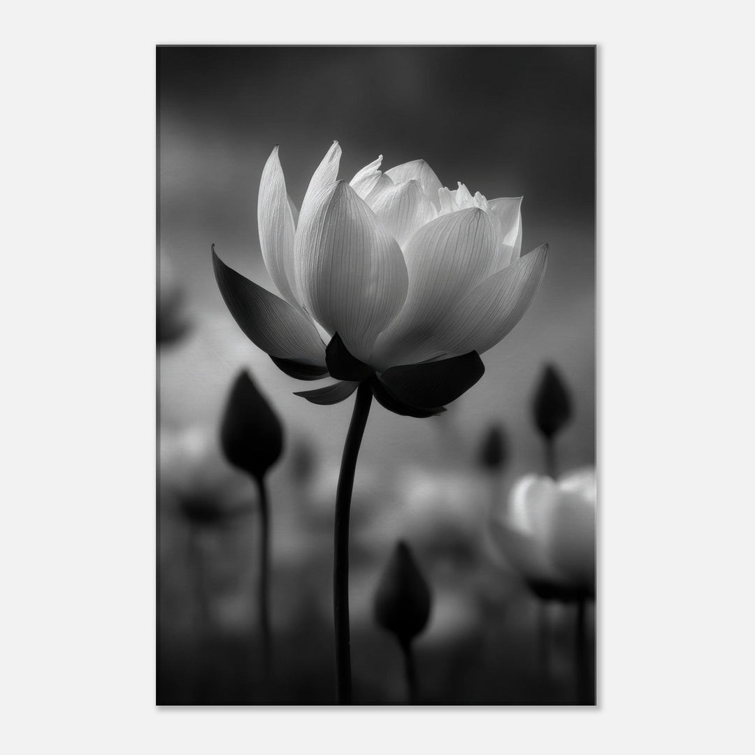 0fdedfe0-7f84-48e9-af96-891d60311ee6