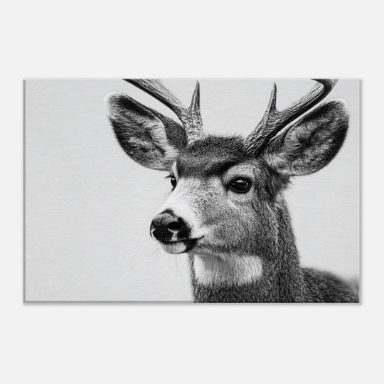 0fe6b99b-d93e-43d9-acd2-461d60031a40