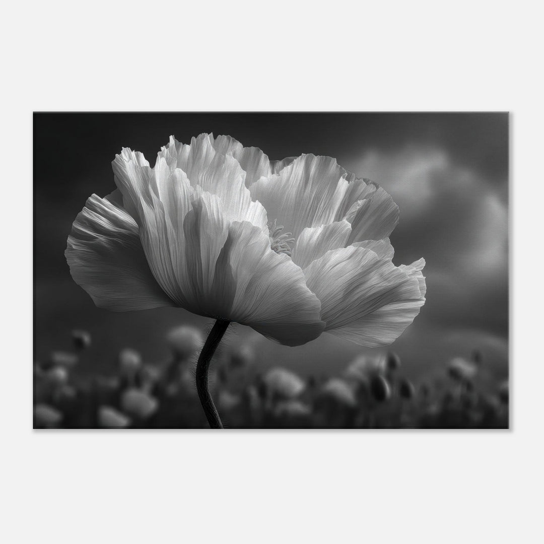 10747b08-2ce0-47ce-8b35-850cf41847e0