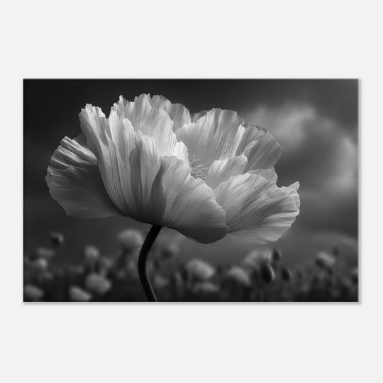 10747b08-2ce0-47ce-8b35-850cf41847e0