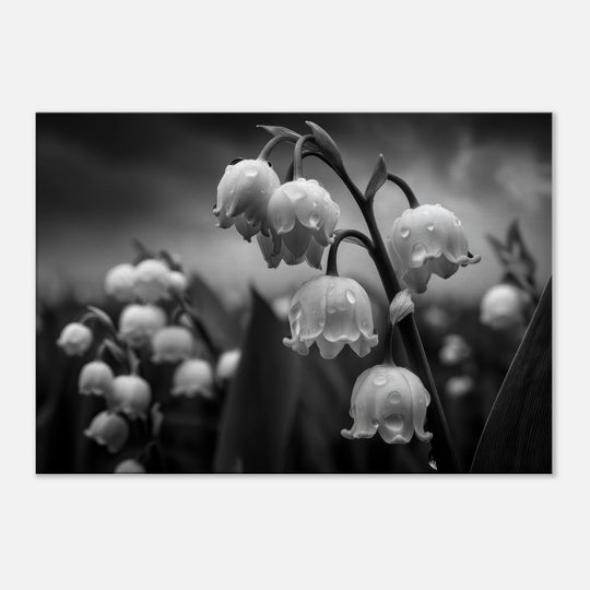 1124376d-5d29-4da5-b01e-83113c8550b6