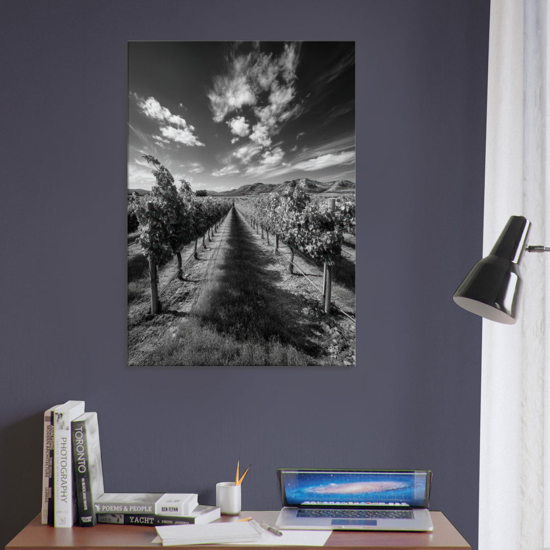 11f1b196-b952-4cab-91cd-6ef7c90d12c6