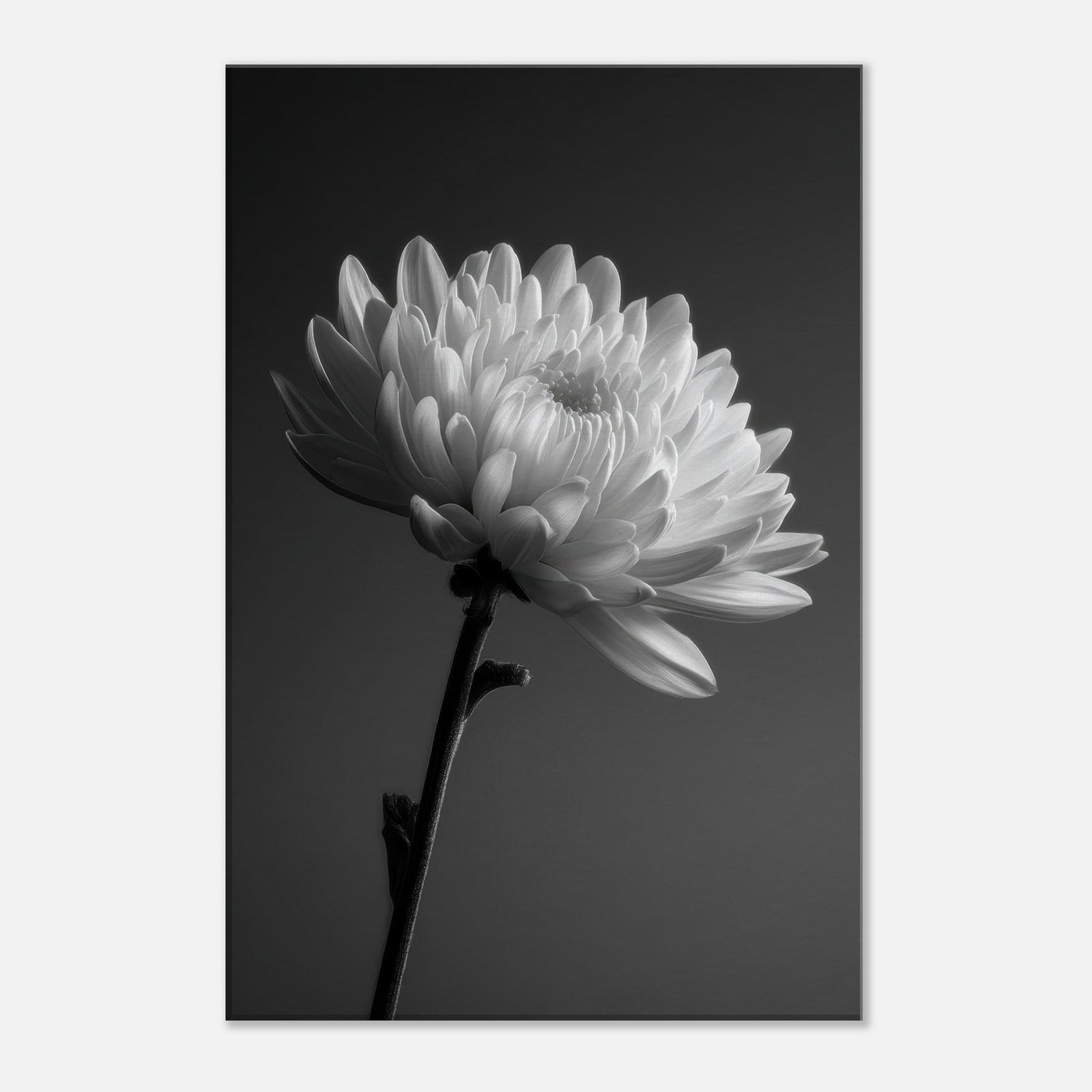 12cba763-e26d-478b-9b99-e2a1388e5dbf