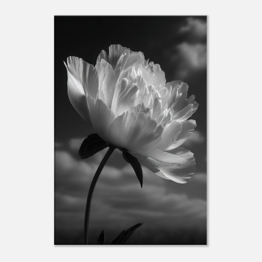 12dbf3e2-351b-4456-9804-4b3ec002f415