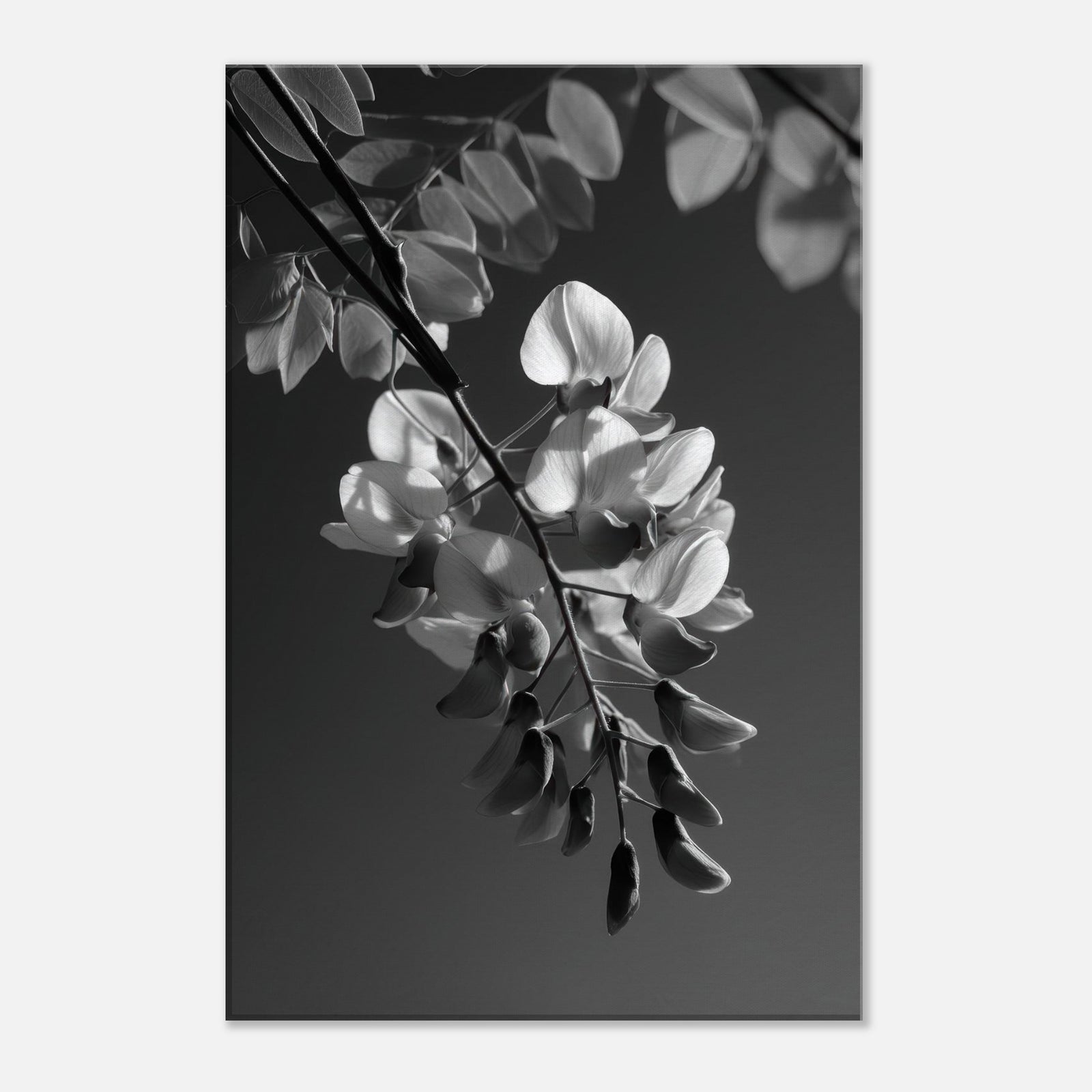 1498491c-5cee-4390-a167-3a4e19a508e7