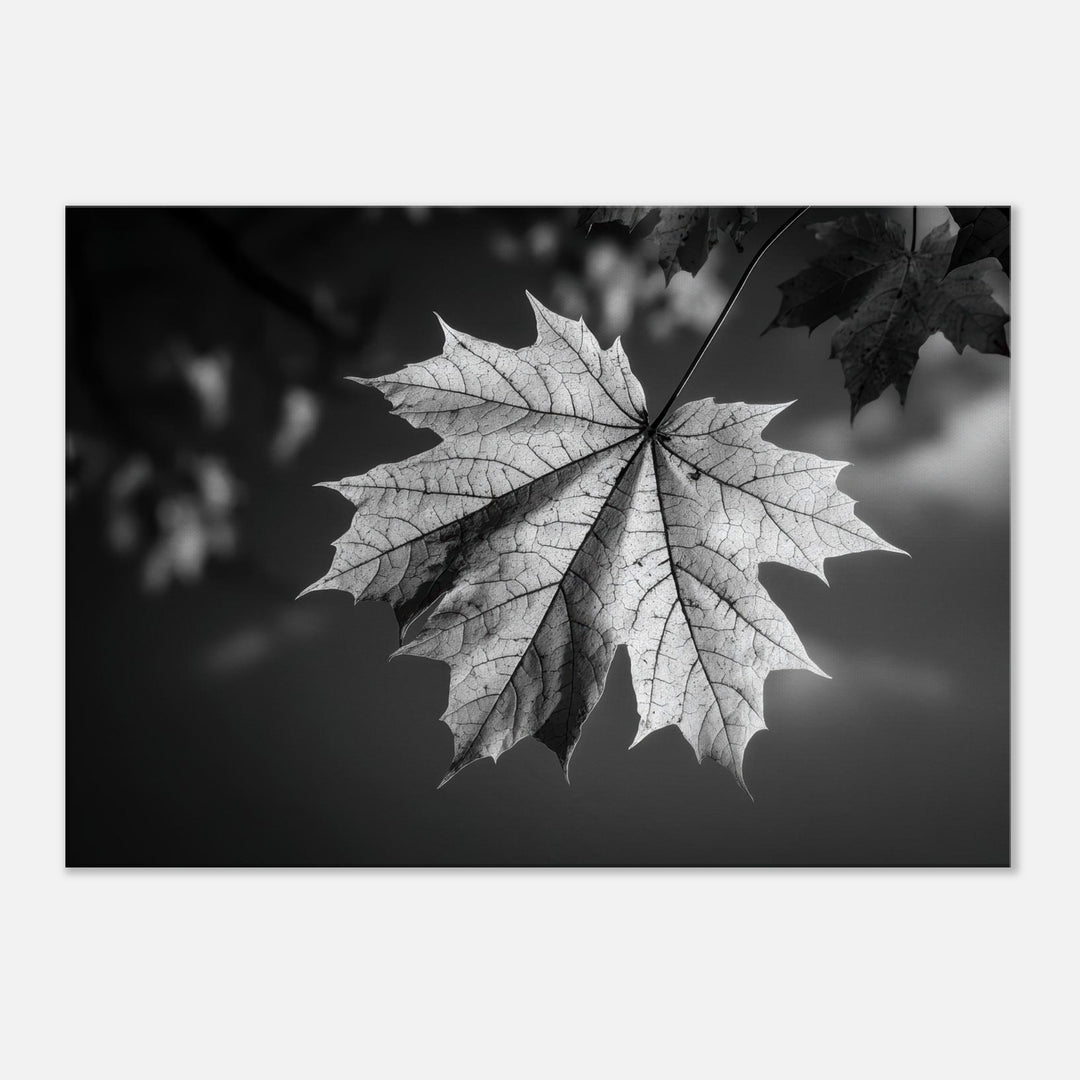 1516b277-d9ef-448a-be48-0133e0597481