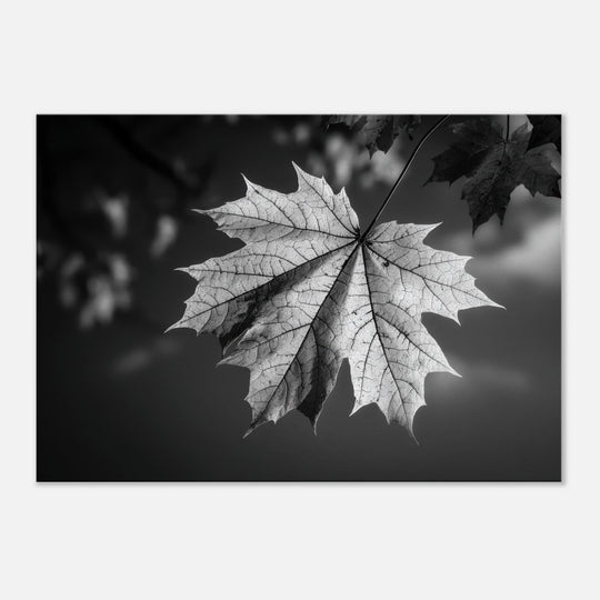 1516b277-d9ef-448a-be48-0133e0597481