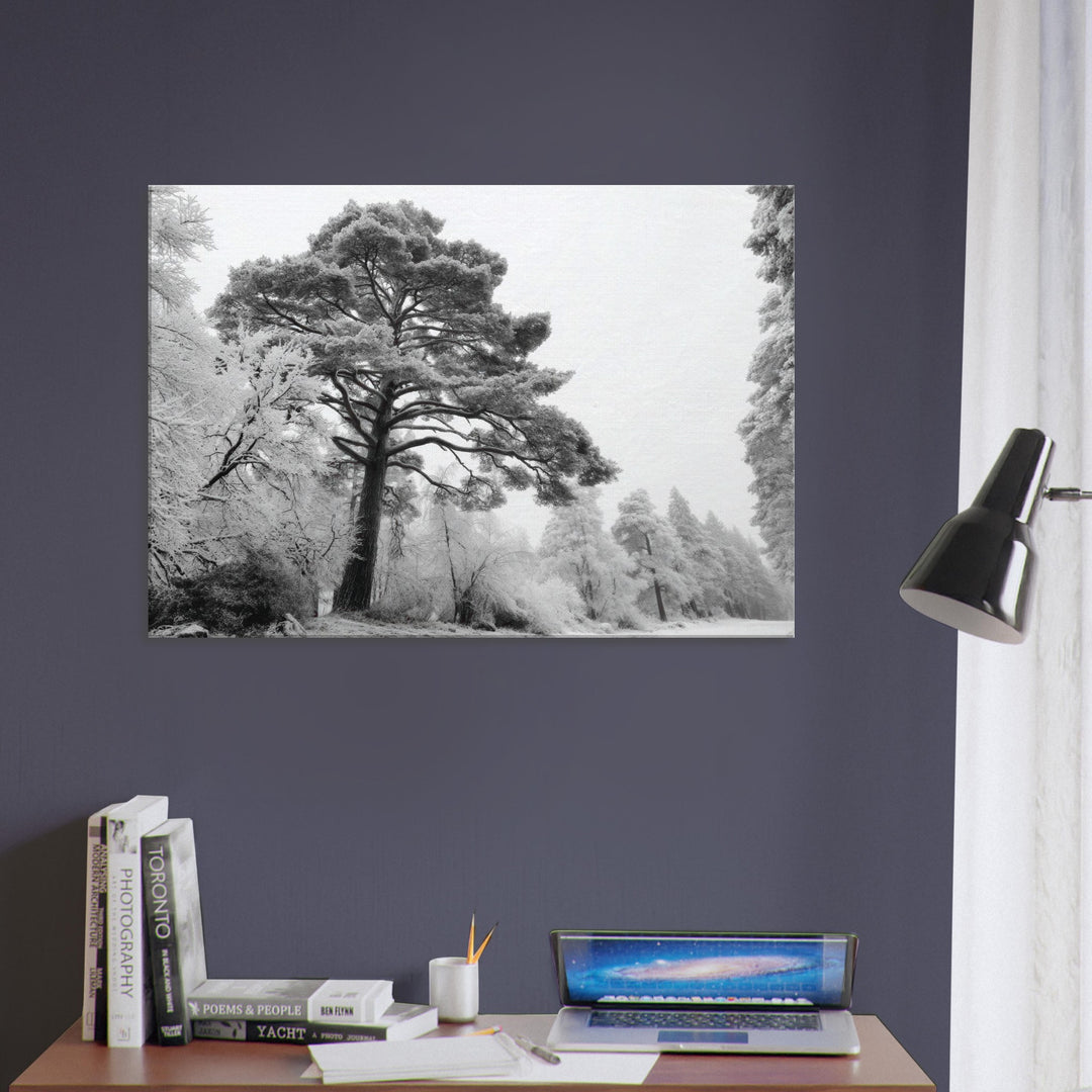 1607b710-e47c-4bf5-b4b9-ac5d4253abf6