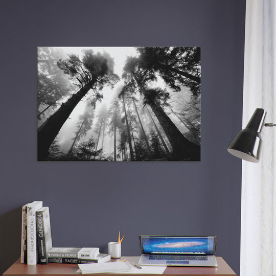 161f913c-561f-48fb-9ac9-8d023ca32ddd