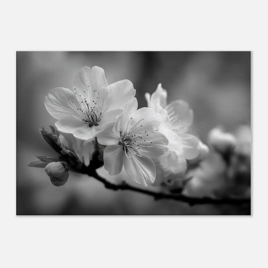 165603d6-b00e-4f61-b263-91635292b320