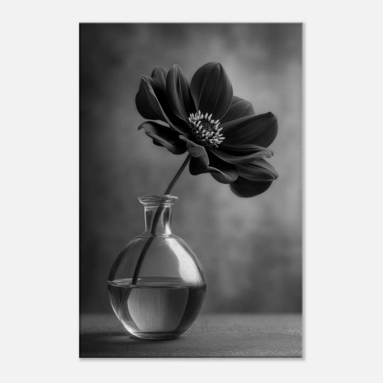 16a5f38a-b4cb-47a6-88fb-c93f5c231a1f