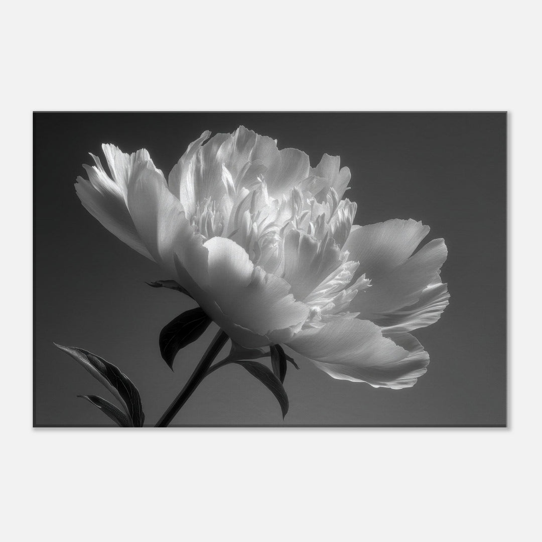 17f00644-e28f-4cb2-8f8b-6ac63f17ef92