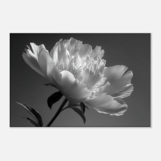 17f00644-e28f-4cb2-8f8b-6ac63f17ef92