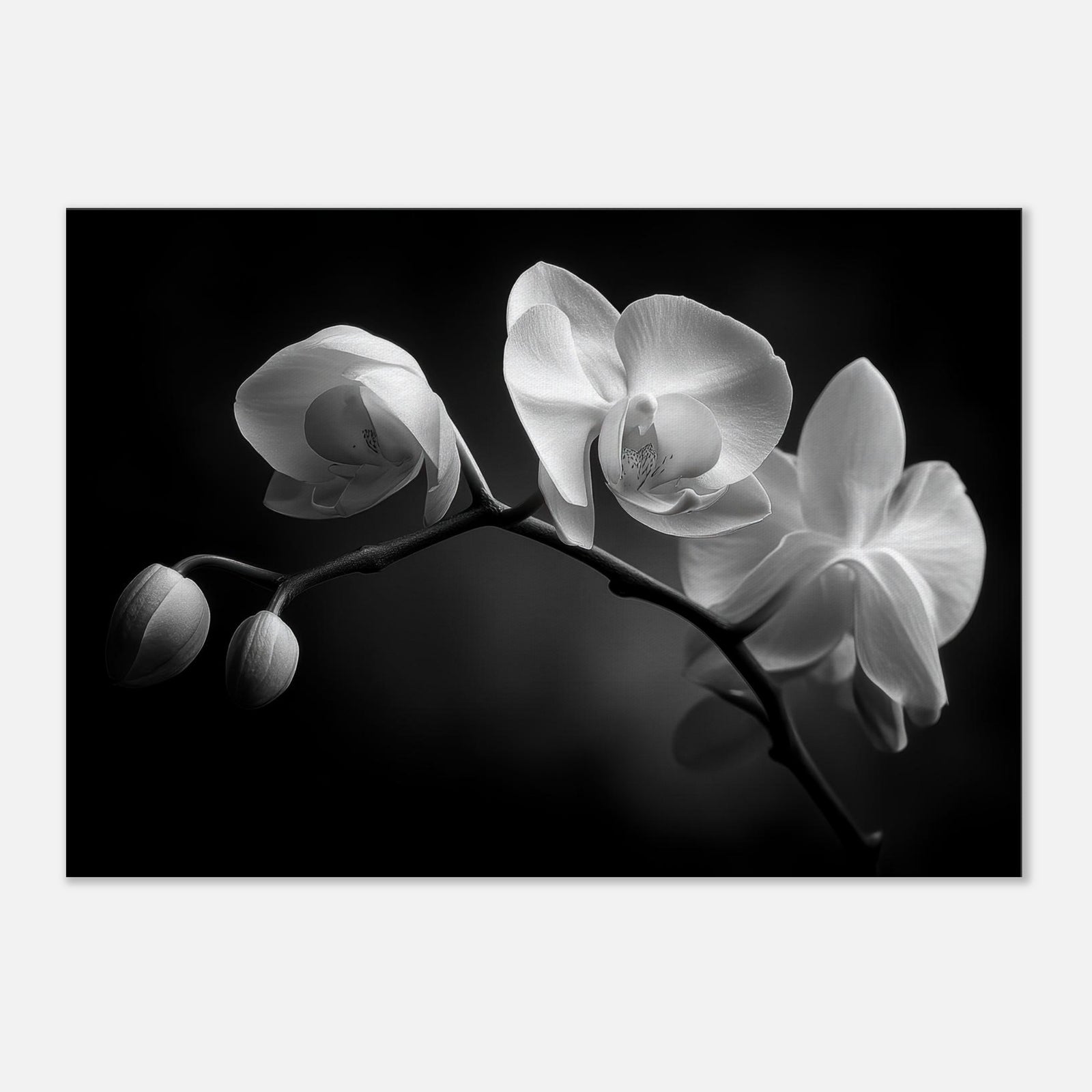 183fbbca-a810-4b4a-802f-59e126ab5f2b