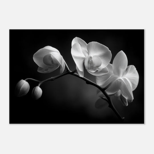 183fbbca-a810-4b4a-802f-59e126ab5f2b