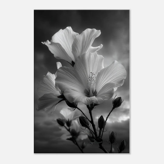 189863cd-be55-4ac6-b780-b74796601b1a