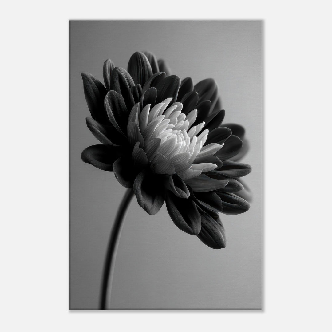 18b53bf4-9635-4a9b-ac21-b196963ef247