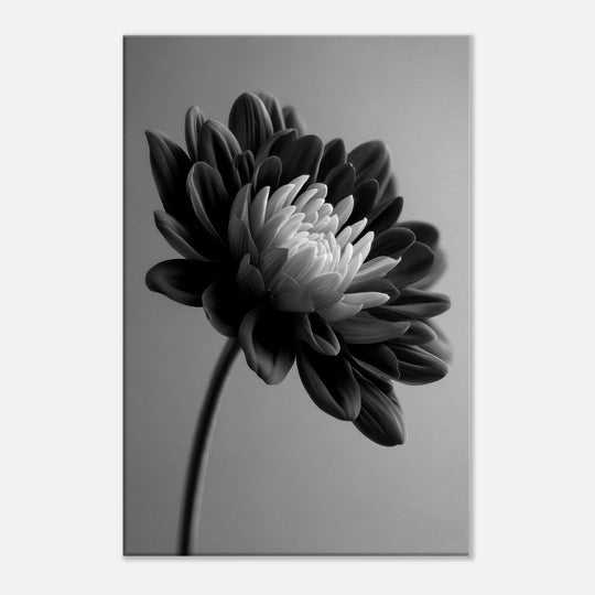 18b53bf4-9635-4a9b-ac21-b196963ef247