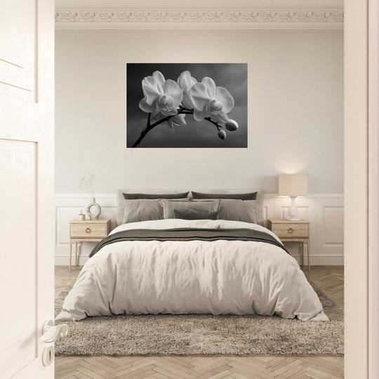 1a1e96c8-a138-4b90-8afc-6b39e027ae13