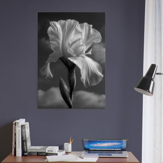 1a29a690-7a1d-4c82-8d27-4ada2a887663