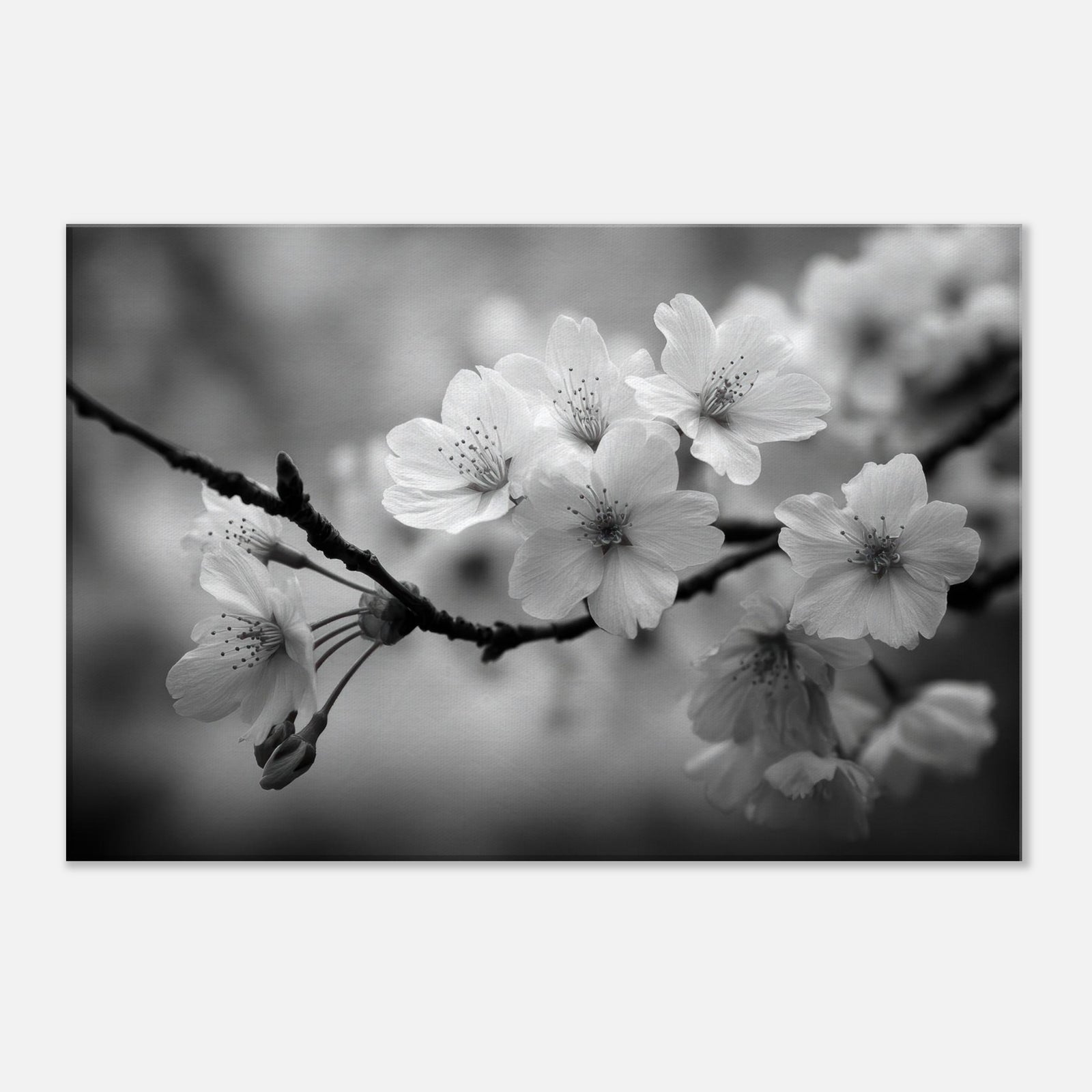 1a2a22e7-4bde-46b9-aeb9-fc86ff8486bb