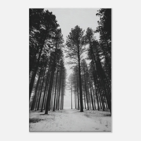 1a4e1e98-6f70-4d91-9cc4-af500991ba9c