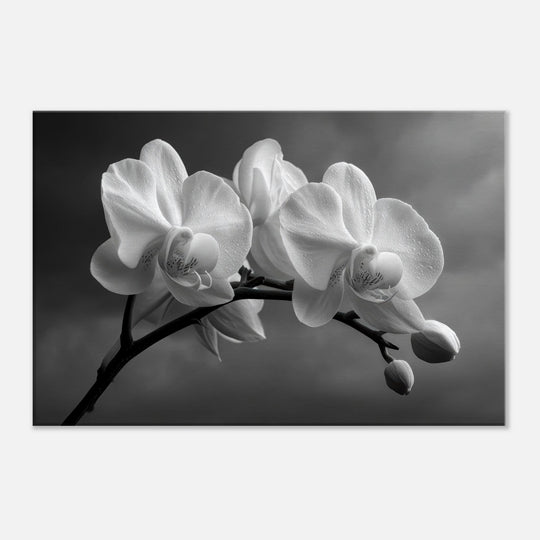 1a61bdeb-1e5f-4981-8aad-5ba633006148