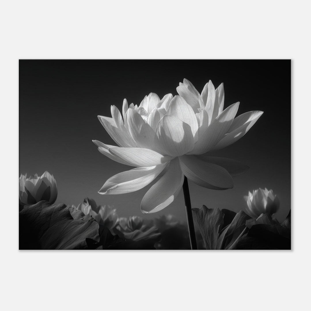 1a86890a-ca05-4434-aa15-9bed9f196cd1