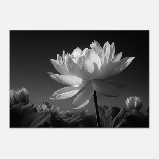 1a86890a-ca05-4434-aa15-9bed9f196cd1