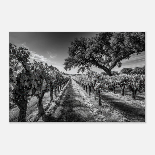 1b1ff246-0c58-4ea1-8e92-08b953ed1d77