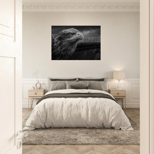 1b55abec-4dde-4b03-9855-e8f75bae69e9