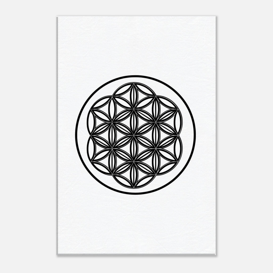 1b8639f2-3469-4771-b2aa-1859fa8f655d