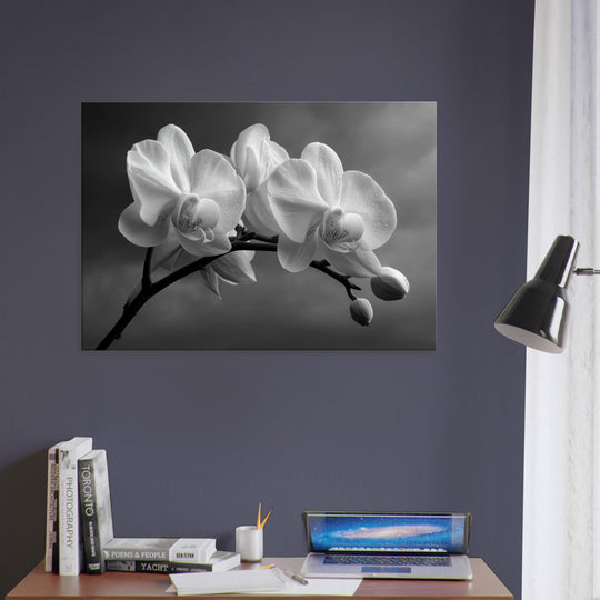 1b9bd47c-a717-44a0-97ce-bfd5653a0840