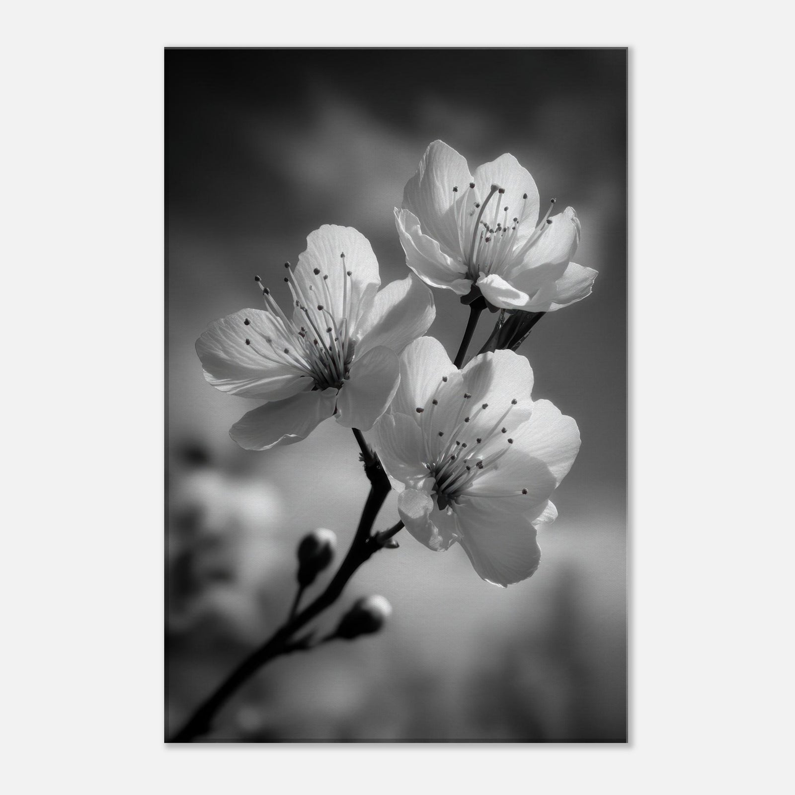 1bce6572-913c-402f-b994-c9e6dfc157f1