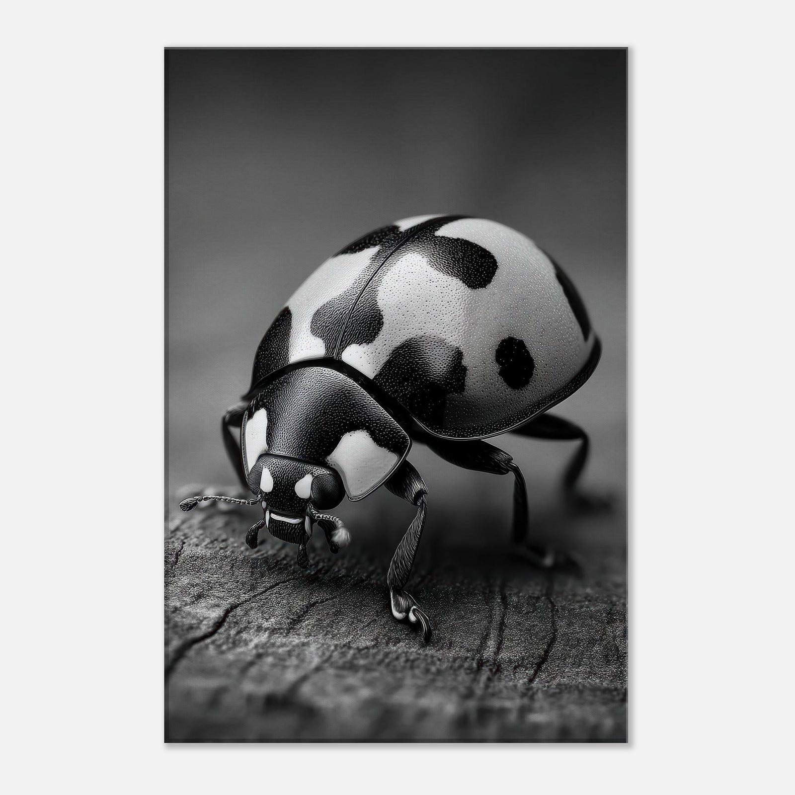 1c26e468-4b43-4de0-a907-e49c5b1f7ed7