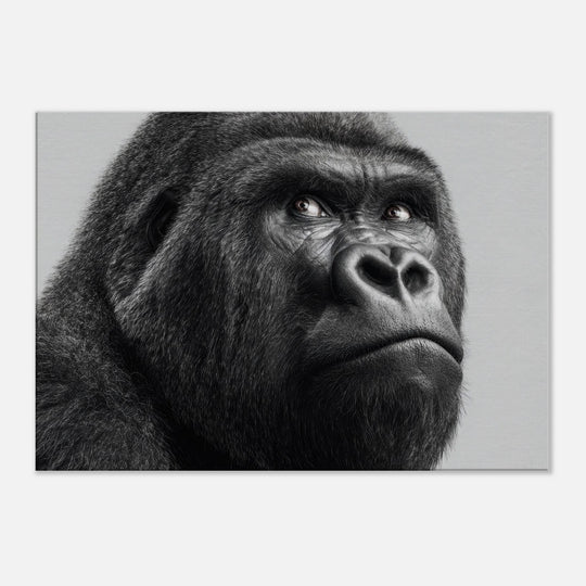 1cfdf986-66ec-4228-83e3-a95e8db73e97