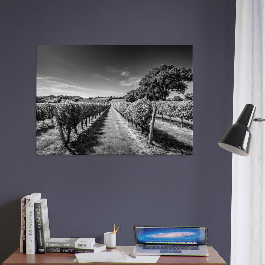 1d4e09fe-9f1c-4c73-8009-f129dfa33c8b