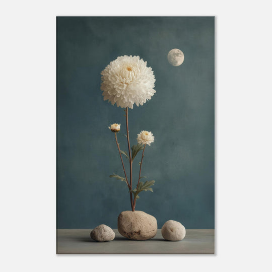 1d5939ae-56a7-4b67-9aef-766e79aa5808