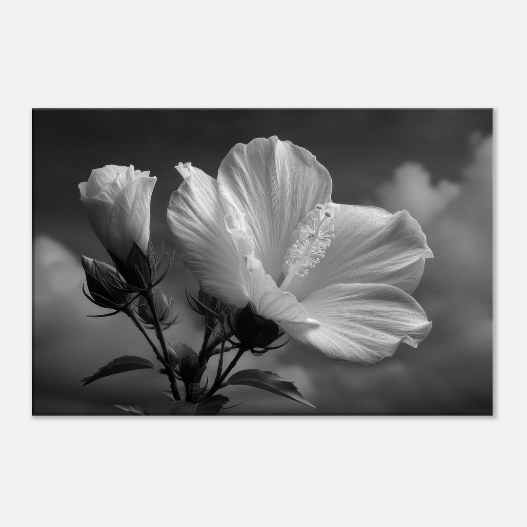 1e997475-7608-4149-82e4-ff657134f2c0