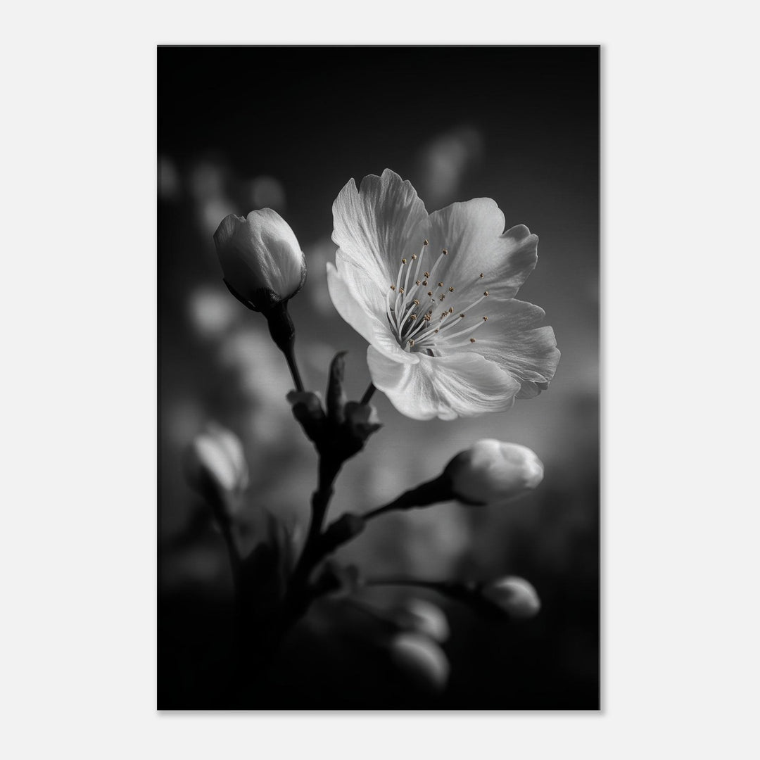 1ed51d91-a39a-496c-9694-9353290beecf