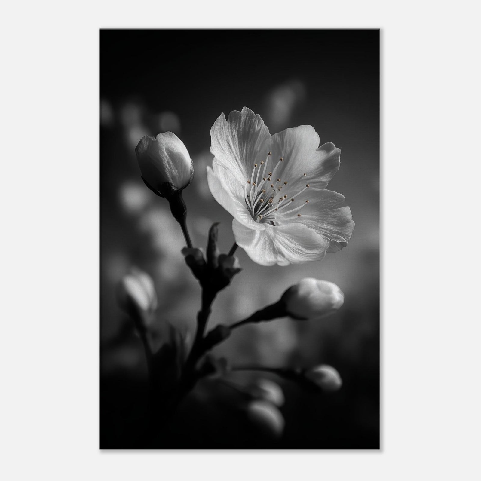 1ed51d91-a39a-496c-9694-9353290beecf