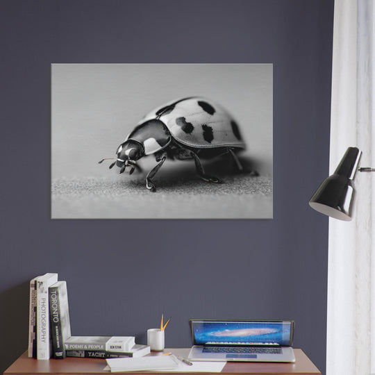 1efc595c-9f16-4ec9-90e5-103b49235b42