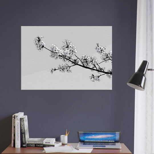 1fc3ed38-479f-4c8f-a145-a8151f28677f