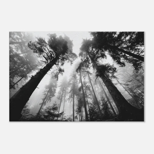 206871e4-0a61-48ea-82cc-1d455a5831fd