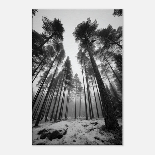 20876d15-8ec0-4713-9bdf-007accafebbc