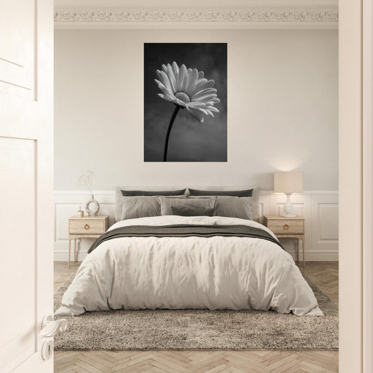 2087b4a6-997b-4fa6-ad4a-e7403699bc65