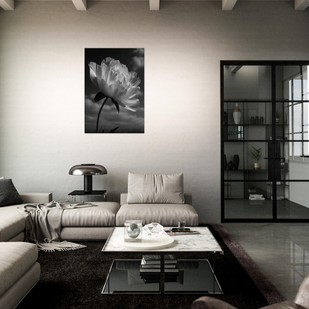 208afca6-24e2-4eb4-9352-83eb32b9e97e