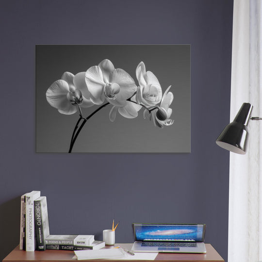 211c43b2-2c23-4ef2-989e-5901b772e51b